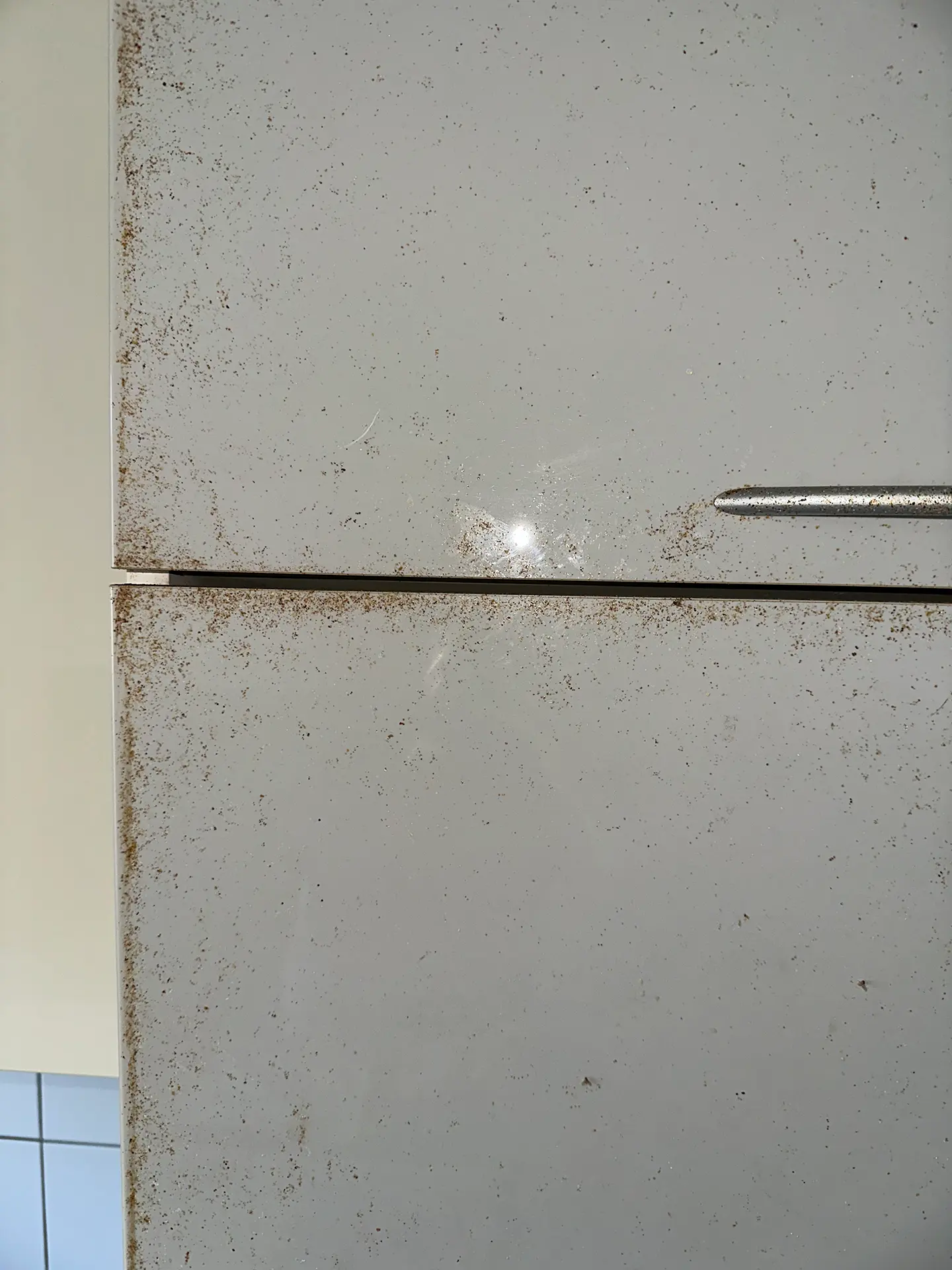 Küchen-Grundreinigung - Vorher