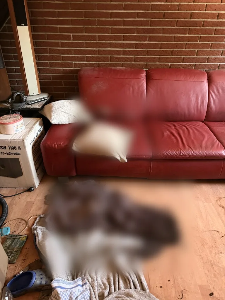 Gefährdungsbeurteilung im Wohnzimmer, sensible Bereiche unkenntlich gemacht